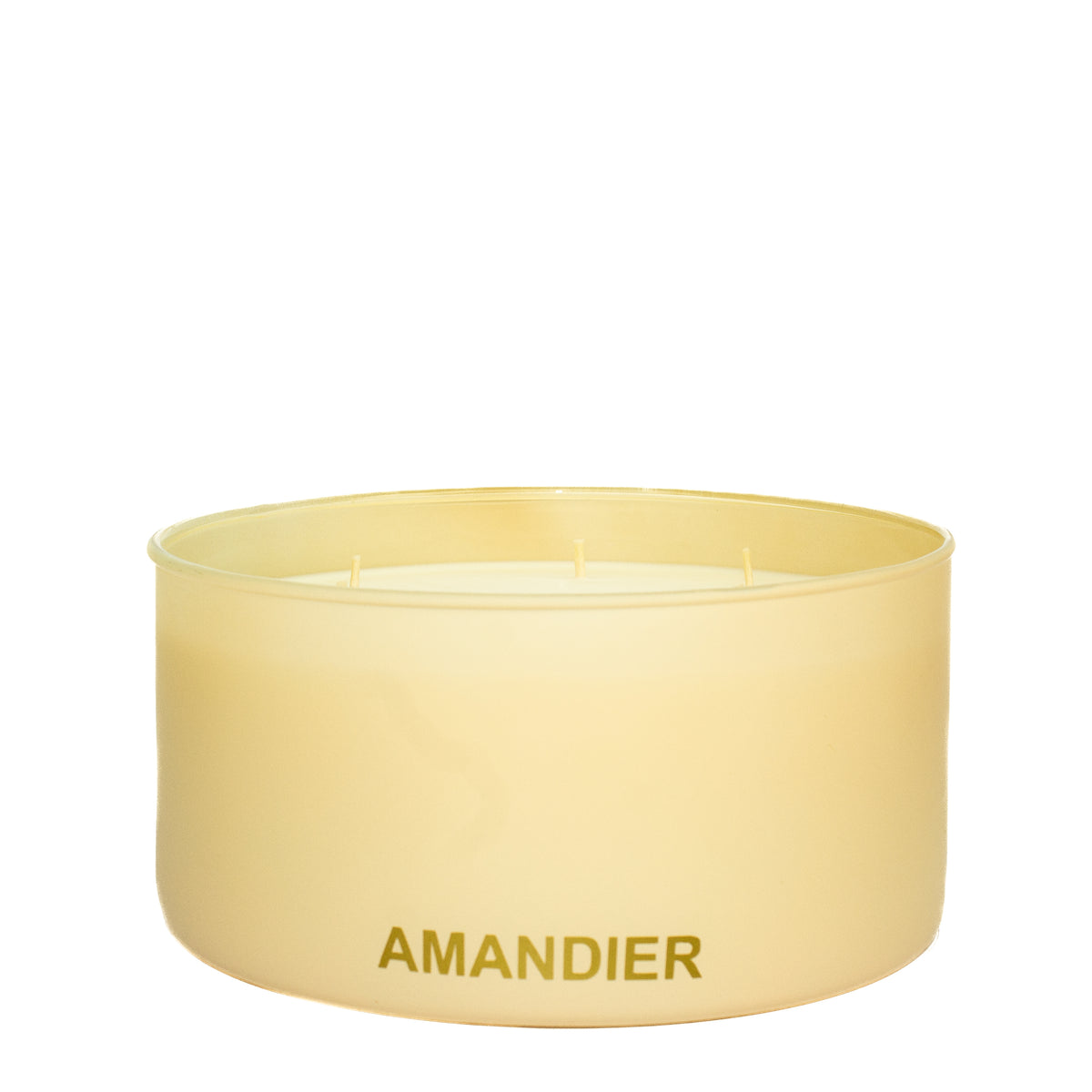 MINI LUX soy candle - 6 wicks/ Base Beige