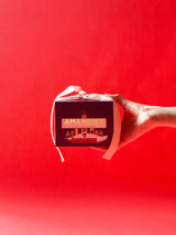 Soy Candle - 3 wicks / Christmas Tree