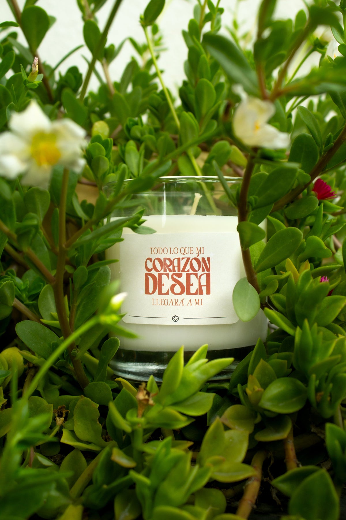 Soy Candle 1 wick